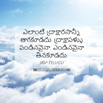 Picture 07 - సంఖ్యాకాండం 6:3 TELIRV - ఎలాంటి - Bible Verse Picture