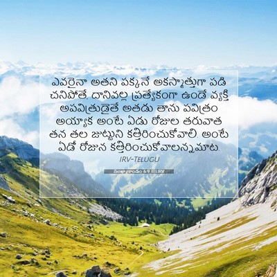 Picture 07 - సంఖ్యాకాండం 6:9 TELIRV - ఎవరైనా అతని - Bible Verse Picture