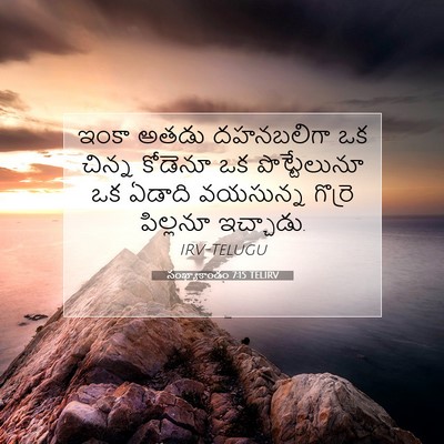 Picture 07 - సంఖ్యాకాండం 7:15 TELIRV - ఇంకా అతడు - Bible Verse Picture