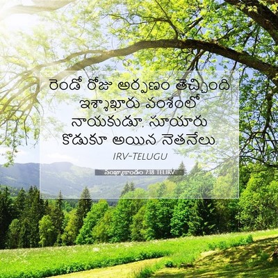 Picture 07 - సంఖ్యాకాండం 7:18 TELIRV - రెండో రోజు అర్పణం - Bible Verse Picture