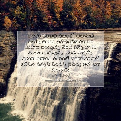 Picture 07 - సంఖ్యాకాండం 7:19 TELIRV - అతడు పరిశుద్ధ - Bible Verse Picture
