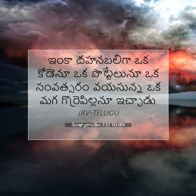 Picture 07 - సంఖ్యాకాండం 7:27 TELIRV - ఇంకా దహనబలిగా ఒక - Bible Verse Picture
