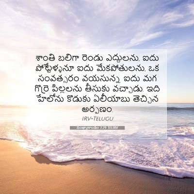Picture 07 - సంఖ్యాకాండం 7:29 TELIRV - శాంతి బలిగా రెండు - Bible Verse Picture