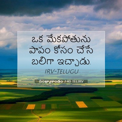 Picture 07 - సంఖ్యాకాండం 7:40 TELIRV - ఒక మేకపోతును పాపం - Bible Verse Picture