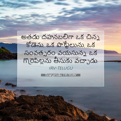 Picture 07 - సంఖ్యాకాండం 7:45 TELIRV - అతడు దహనబలిగా ఒక - Bible Verse Picture