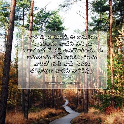 Picture 07 - సంఖ్యాకాండం 7:5 TELIRV - “వారి దగ్గర నుండి - Bible Verse Picture