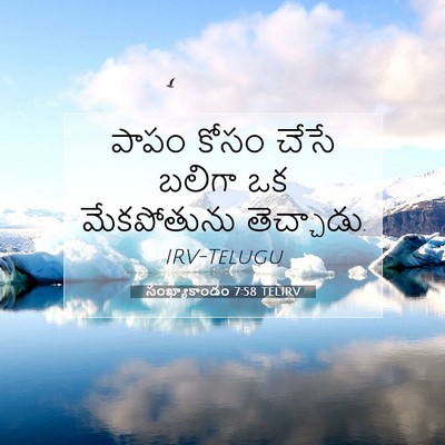 Picture 07 - సంఖ్యాకాండం 7:58 TELIRV - పాపం కోసం చేసే - Bible Verse Picture