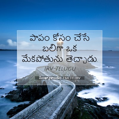 Picture 07 - సంఖ్యాకాండం 7:64 TELIRV - పాపం కోసం చేసే - Bible Verse Picture