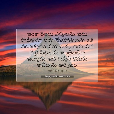 Picture 07 - సంఖ్యాకాండం 7:65 TELIRV - ఇంకా రెండు - Bible Verse Picture