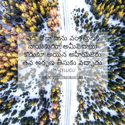 Picture 07 - సంఖ్యాకాండం 7:66 TELIRV - పదో రోజు దాను - Bible Verse Picture