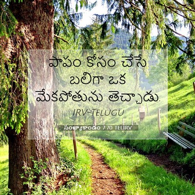 Picture 07 - సంఖ్యాకాండం 7:70 TELIRV - పాపం కోసం చేసే - Bible Verse Picture