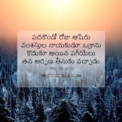 Picture 07 - సంఖ్యాకాండం 7:72 TELIRV - పదకొండో రోజు - Bible Verse Picture