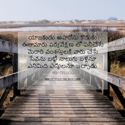 Picture 07 - సంఖ్యాకాండం 7:8 TELIRV - యాజకుడు అహరోను - Bible Verse Picture