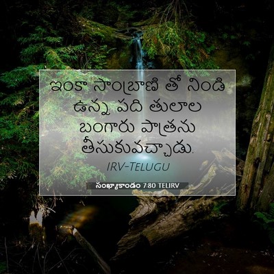 Picture 07 - సంఖ్యాకాండం 7:80 TELIRV - ఇంకా సాంబ్రాణి తో - Bible Verse Picture