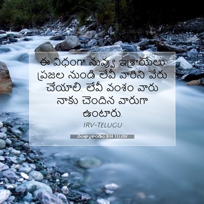 Picture 07 - సంఖ్యాకాండం 8:14 TELIRV - ఈ విధంగా నువ్వు - Bible Verse Picture