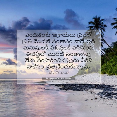 Picture 07 - సంఖ్యాకాండం 8:17 TELIRV - ఎందుకంటే - Bible Verse Picture