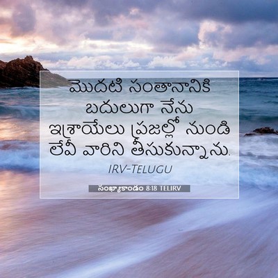 Picture 07 - సంఖ్యాకాండం 8:18 TELIRV - మొదటి సంతానానికి - Bible Verse Picture