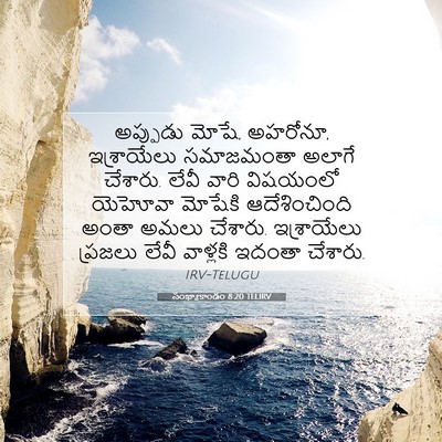 Picture 07 - సంఖ్యాకాండం 8:20 TELIRV - అప్పుడు మోషే, - Bible Verse Picture