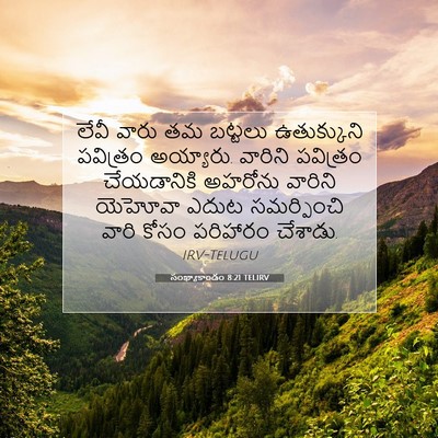 Picture 07 - సంఖ్యాకాండం 8:21 TELIRV - లేవీ వారు తమ - Bible Verse Picture