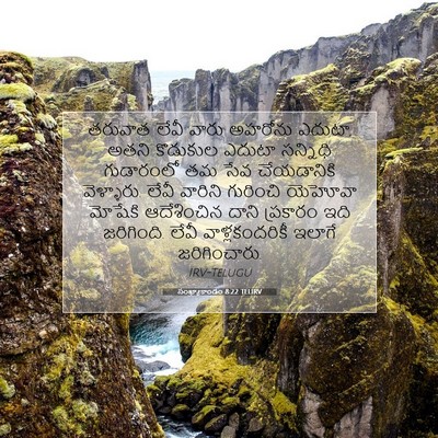 Picture 07 - సంఖ్యాకాండం 8:22 TELIRV - తరువాత లేవీ వారు - Bible Verse Picture
