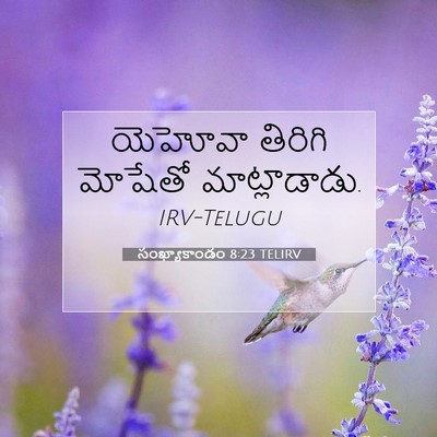 Picture 07 - సంఖ్యాకాండం 8:23 TELIRV - యెహోవా తిరిగి - Bible Verse Picture