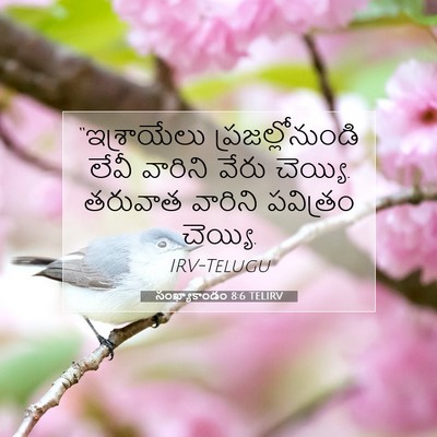 Picture 07 - సంఖ్యాకాండం 8:6 TELIRV - “ఇశ్రాయేలు - Bible Verse Picture
