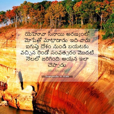 Picture 07 - సంఖ్యాకాండం 9:1 TELIRV - యెహోవా సీనాయి - Bible Verse Picture