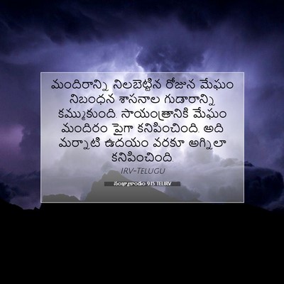 Picture 07 - సంఖ్యాకాండం 9:15 TELIRV - మందిరాన్ని - Bible Verse Picture