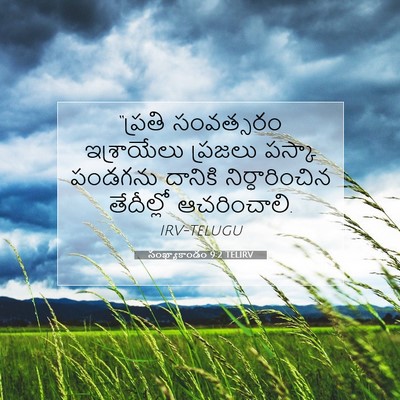 Picture 07 - సంఖ్యాకాండం 9:2 TELIRV - “ప్రతి సంవత్సరం - Bible Verse Picture