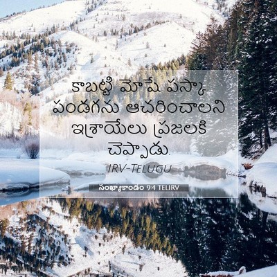 Picture 07 - సంఖ్యాకాండం 9:4 TELIRV - కాబట్టి మోషే - Bible Verse Picture