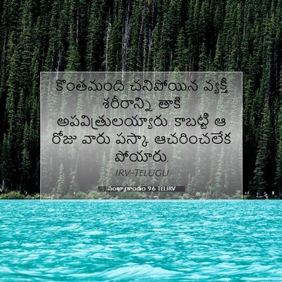 Picture 07 - సంఖ్యాకాండం 9:6 TELIRV - కొంతమంది చనిపోయిన - Bible Verse Picture