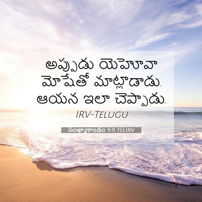 Picture 07 - సంఖ్యాకాండం 9:9 TELIRV - అప్పుడు యెహోవా - Bible Verse Picture