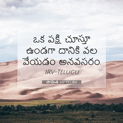 Picture 07 - సామెత 1:17 TELIRV - ఒక పక్షి చూస్తూ - Bible Verse Picture