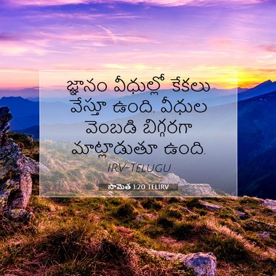 Picture 07 - సామెత 1:20 TELIRV - జ్ఞానం వీధుల్లో - Bible Verse Picture