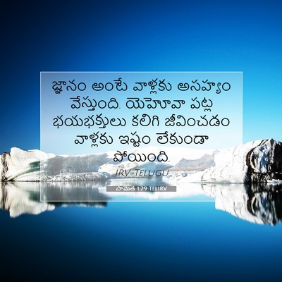 Picture 07 - సామెత 1:29 TELIRV - జ్ఞానం అంటే - Bible Verse Picture