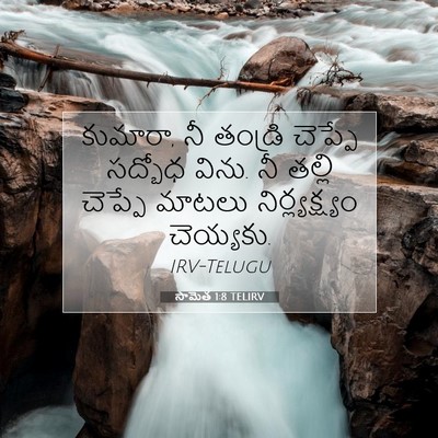 Picture 07 - సామెత 1:8 TELIRV - కుమారా, నీ తండ్రి - Bible Verse Picture