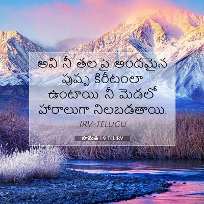 Picture 07 - సామెత 1:9 TELIRV - అవి నీ తలపై అందమైన - Bible Verse Picture