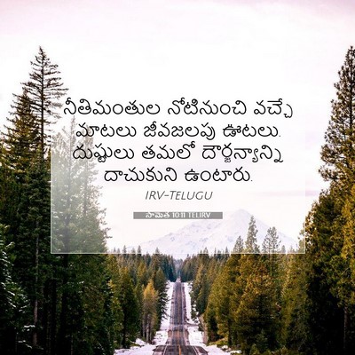 Picture 07 - సామెత 10:11 TELIRV - నీతిమంతుల - Bible Verse Picture