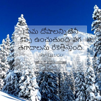 Picture 07 - సామెత 10:12 TELIRV - ప్రేమ - Bible Verse Picture