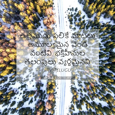 Picture 07 - సామెత 10:20 TELIRV - ఉత్తముడు పలికే - Bible Verse Picture