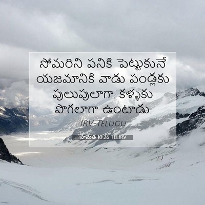 Picture 07 - సామెత 10:26 TELIRV - సోమరిని పనికి - Bible Verse Picture