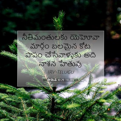 Picture 07 - సామెత 10:29 TELIRV - నీతిమంతులకు - Bible Verse Picture