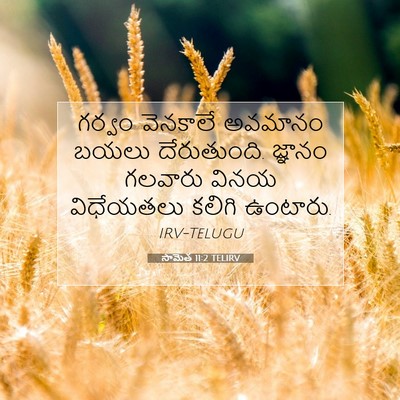 Picture 07 - సామెత 11:2 TELIRV - గర్వం వెనకాలే - Bible Verse Picture