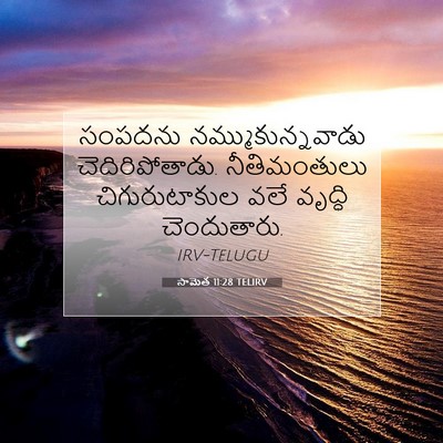 Picture 07 - సామెత 11:28 TELIRV - సంపదను - Bible Verse Picture