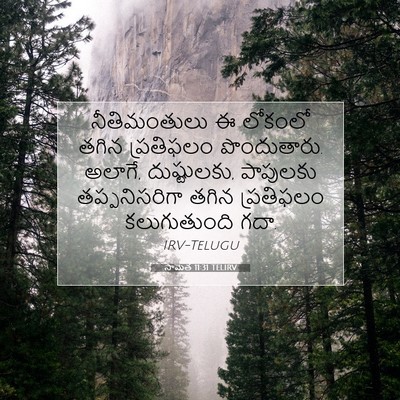 Picture 07 - సామెత 11:31 TELIRV - నీతిమంతులు ఈ - Bible Verse Picture
