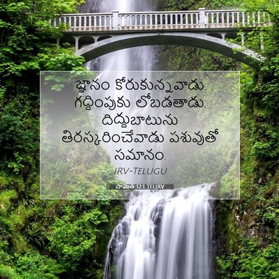 Picture 07 - సామెత 12:1 TELIRV - జ్ఞానం - Bible Verse Picture