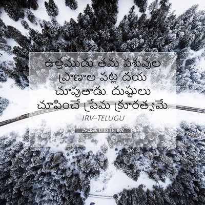Picture 07 - సామెత 12:10 TELIRV - ఉత్తముడు తమ - Bible Verse Picture