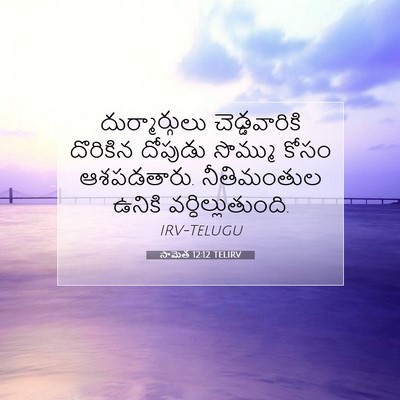 Picture 07 - సామెత 12:12 TELIRV - దుర్మార్గులు - Bible Verse Picture