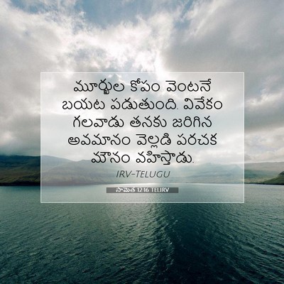 Picture 07 - సామెత 12:16 TELIRV - మూర్ఖుల కోపం - Bible Verse Picture