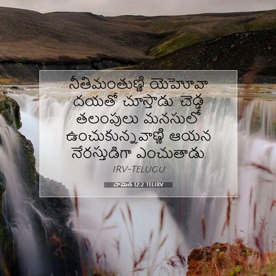 Picture 07 - సామెత 12:2 TELIRV - నీతిమంతుణ్ణి - Bible Verse Picture